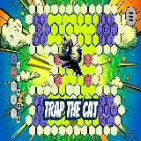 Trap the Cat 2D